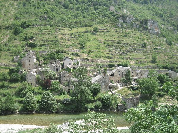 Dans les gorges du Tarn