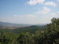 Paysage du Languedoc